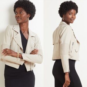 Evereve BLANKNYC Songbird Crepe Moto Jacket XS